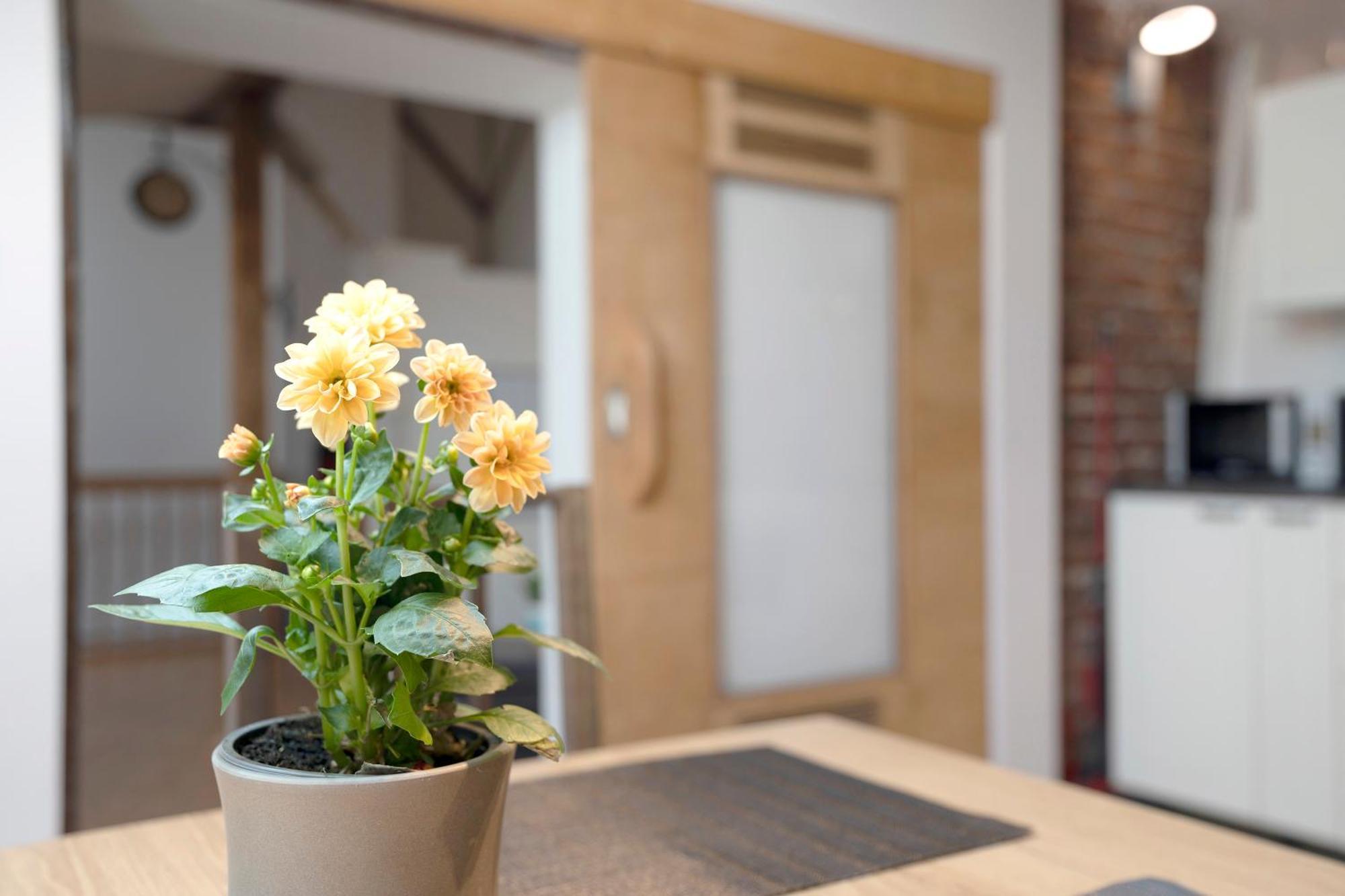 Apartament Loft Sven Baden-Baden Zewnętrze zdjęcie